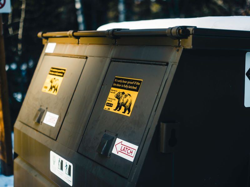 Dumpster rental job in the Historic Southwest neighborhood of Rochester